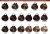 05_BROWN.jpg